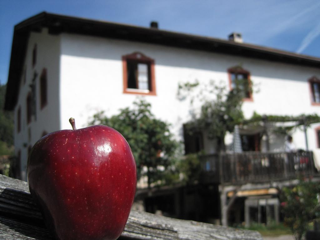 Vila Gruberhof San Genesio Atesino Exteriér fotografie